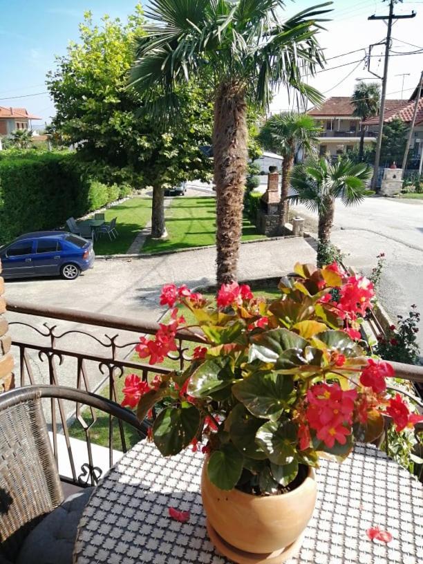 Guesthouse Athanasiou Káto Loutrákion المظهر الخارجي الصورة